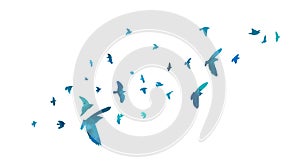 A flock of blue watercolor flying birds. Free birds abstraction. hand drawing. Not AI, Illustrat3. Vector illustration