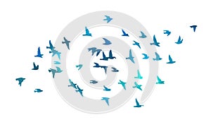A flock of blue watercolor flying birds. Free birds abstraction. hand drawing. Not AI. Vector illustration