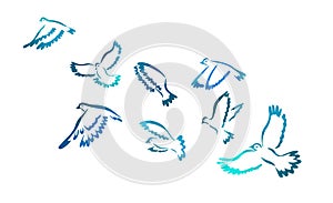 A flock of blue watercolor flying birds. Free birds abstraction. hand drawing. Not AI. Vector illustration