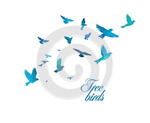 A flock of blue watercolor flying birds. Free birds abstraction Vector illustration