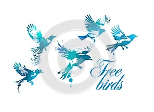 A flock of blue watercolor flying birds. Free birds abstraction Vector illustration