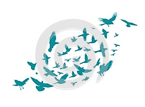 A flock of blue watercolor flying birds. Free birds abstraction Vector illustration