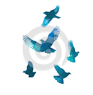 A flock of blue watercolor flying birds. Free birds abstraction Vector illustration