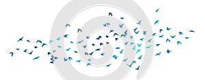 A flock of blue watercolor flying birds. Free birds abstraction Vector illustration