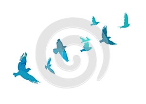 A flock of blue watercolor flying birds. Free birds abstraction Vector illustration