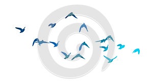 A flock of blue watercolor flying birds. hand drawing. Not AI, Free birds abstraction. Vector illustration