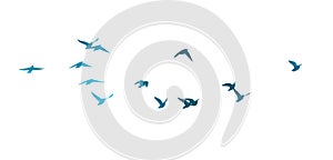 A flock of blue watercolor flying birds. hand drawing. Not AI, Free birds abstraction. Vector illustration