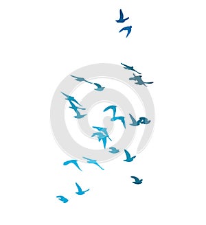 A flock of blue watercolor flying birds. hand drawing. Not AI, Free birds abstraction. Vector illustration