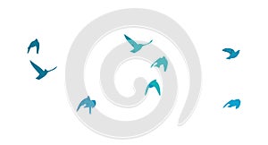 A flock of blue watercolor flying birds. hand drawing. Not AI, Free birds abstraction. Vector illustration