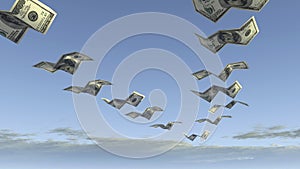 Flock of dollar fly away