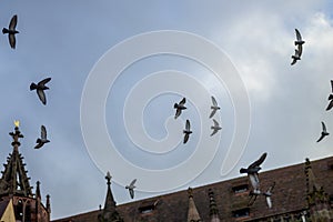 Flock of doves flying around a church steeple