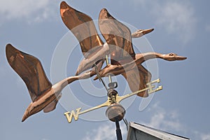 Flock of Ducks Weathervane photo