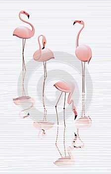 Flock of flamingos in the water