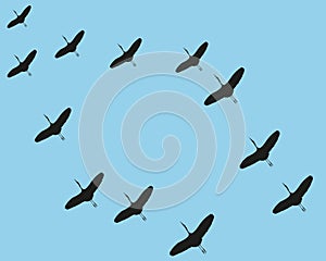 A flock of flying birds in the key, to warmer climes. Free birds. Vector illustration