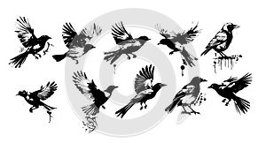 A flock of flying birds. Set of monochrome flying birds. Vector illustration