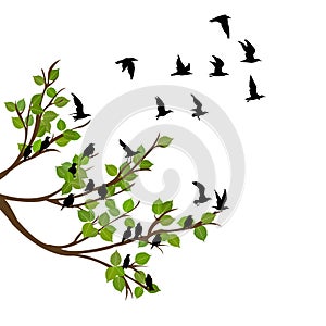 Flock of flying birds on tree branch
