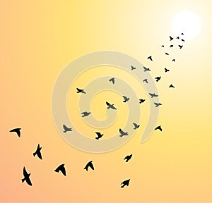 Flock of flying birds, vector