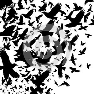 A flock of flying birds. Vector illustration