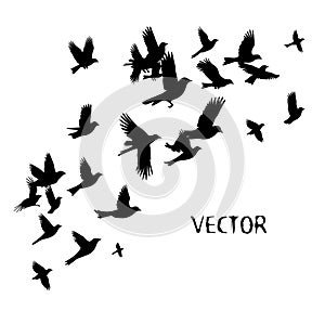 A flock of flying birds. Vector illustration