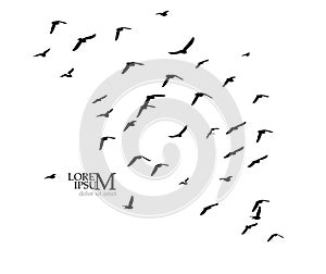 A flock of flying birds. Vector illustration