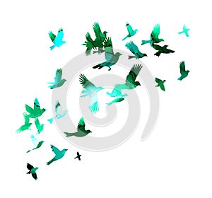 A flock of green watercolor flying birds. Vector illustration