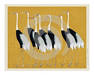 Flock of Japanese red-crowned crane vintage illustration wall art print and poster design remix from original artwork