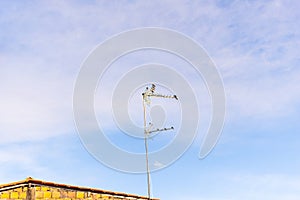 A flock of Laundress birds on a TV antenna against stunning blue sky with clouds