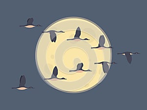 Flock of migrating geese flying. Migratory birds concept. Night sky background with moon