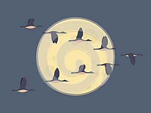 Flock of migrating geese flying. Migratory birds concept. Night sky background with moon photo