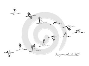 Flock of migrating storks flying. Migratory birds concept. Sketch style