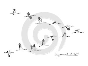 Flock of migrating storks flying. Migratory birds concept. Sketch style photo