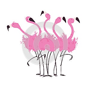 Flock of flamingos vector illustration photo
