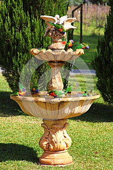 Flock of Rainbow Lorikeet birds in water fountain