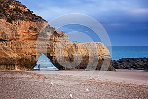 flock of seagulls on the beach, stunning beautiful bright landscape, cliffs of the Algarve on the Atlantic coast, Portugal