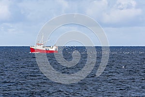 Flock of seagulls chasing a trawler fishing for cod at Andenes