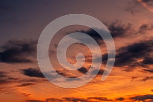 Flock of seagulls flying across colorful sunset sky