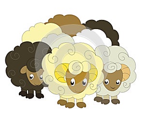 A flock of sheep