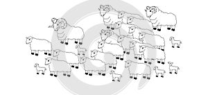 Flock of sheep, colouring book page uncolored