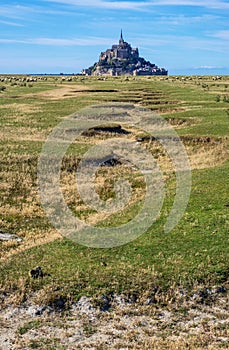 Flock of sheep in front of the Mont Saint Michel abbey. Mont Saint-Michel, Normandy, France