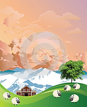 Flock of sheep grazing at dawn photo