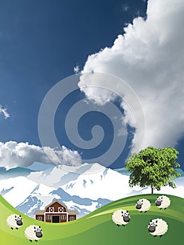 Flock of sheep grazing photo