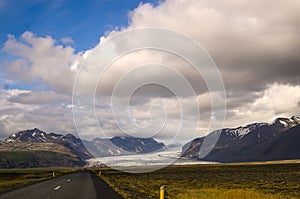 Flock of sheep running on the road in Iceland