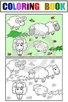 Flock of sheep. Set of children art coloring book and drawing.