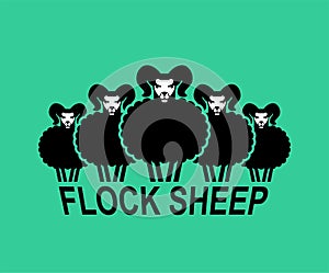 Flock sheep sign icon. Farm animals symbol