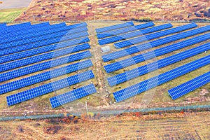 Flock of sheep solar panels