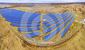 Flock of sheep solar panels