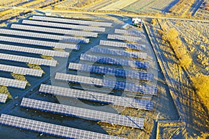 Flock of sheep solar panels