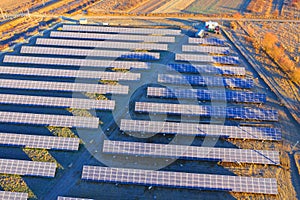 Flock of sheep solar panels