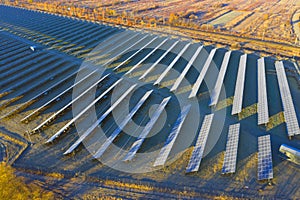 Flock of sheep solar panels