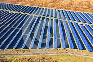 Flock of sheep solar panels